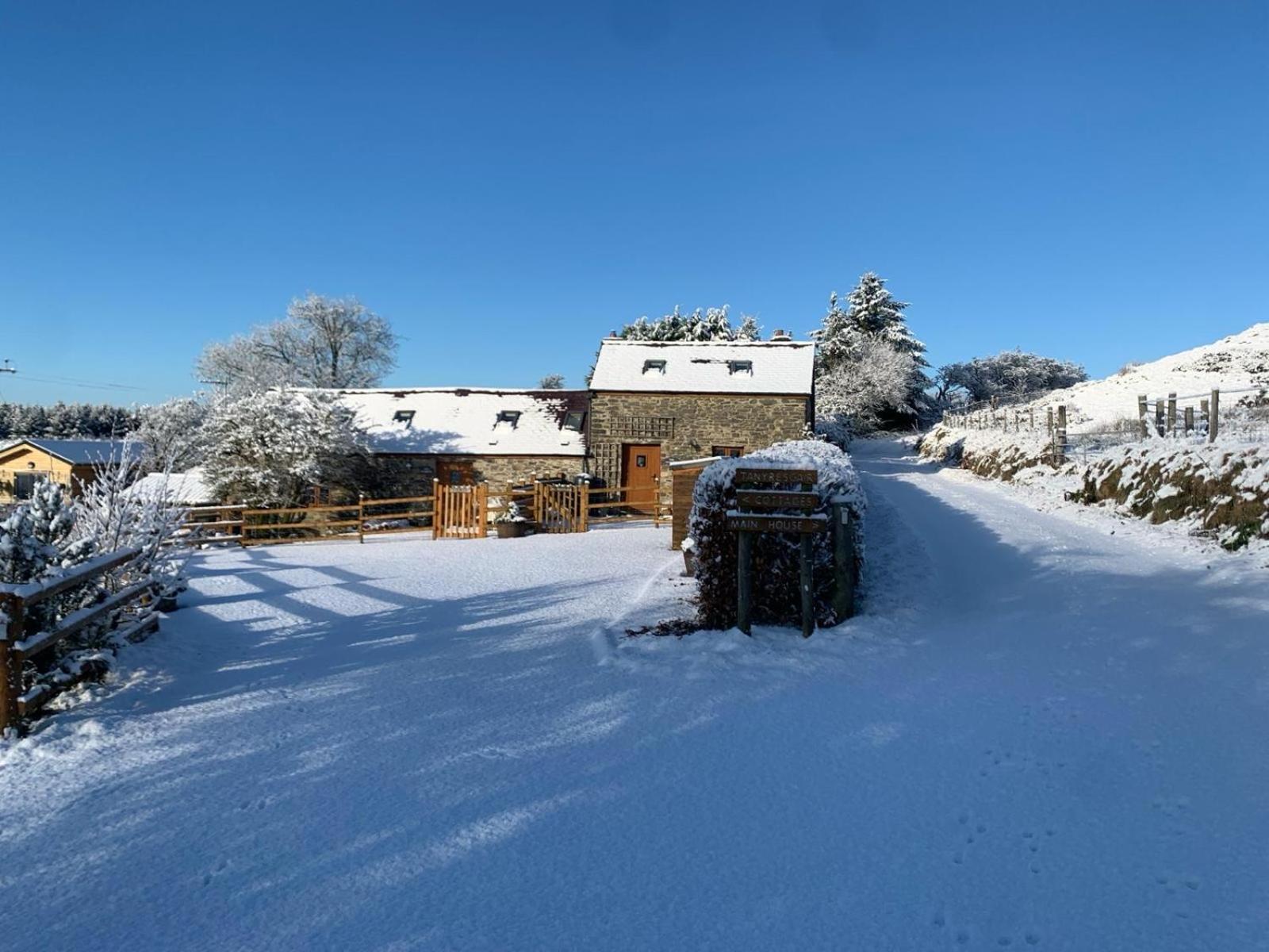 Tanyresgair Cottages Aberystwyth Buitenkant foto